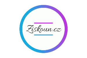 Ziskoun